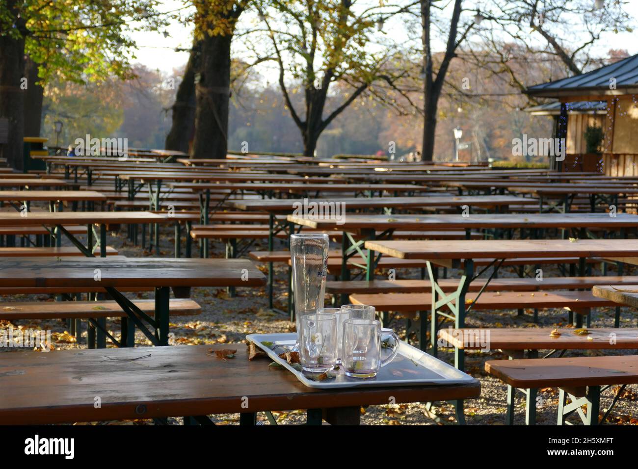 Wooden beer garden benches in autumn , empty beer glasses in front, Munich, English Garden.. . Stock Photo