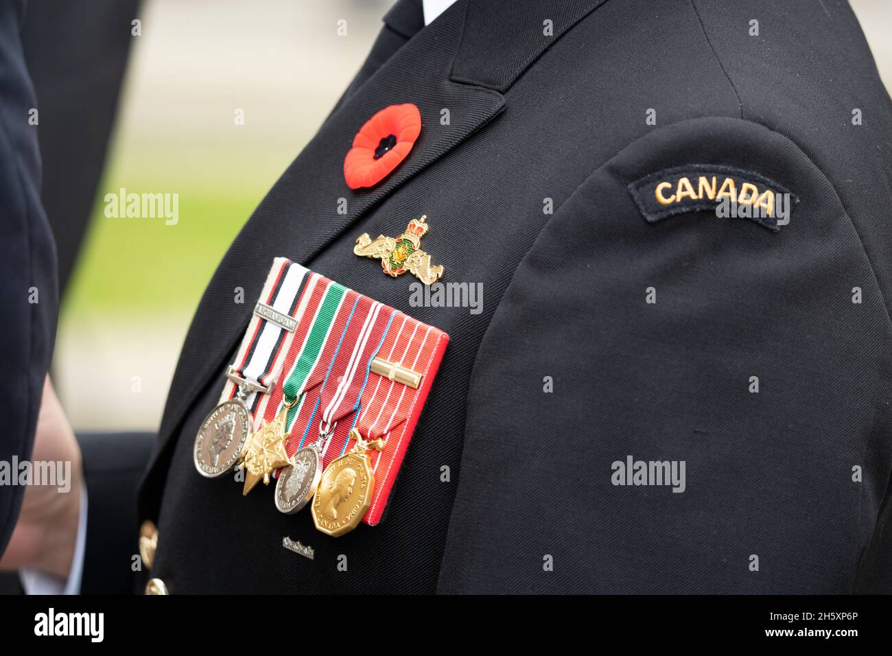 Remembrance Day Canada, Poppy, Medals, Toronto, 2021 Stock Photo