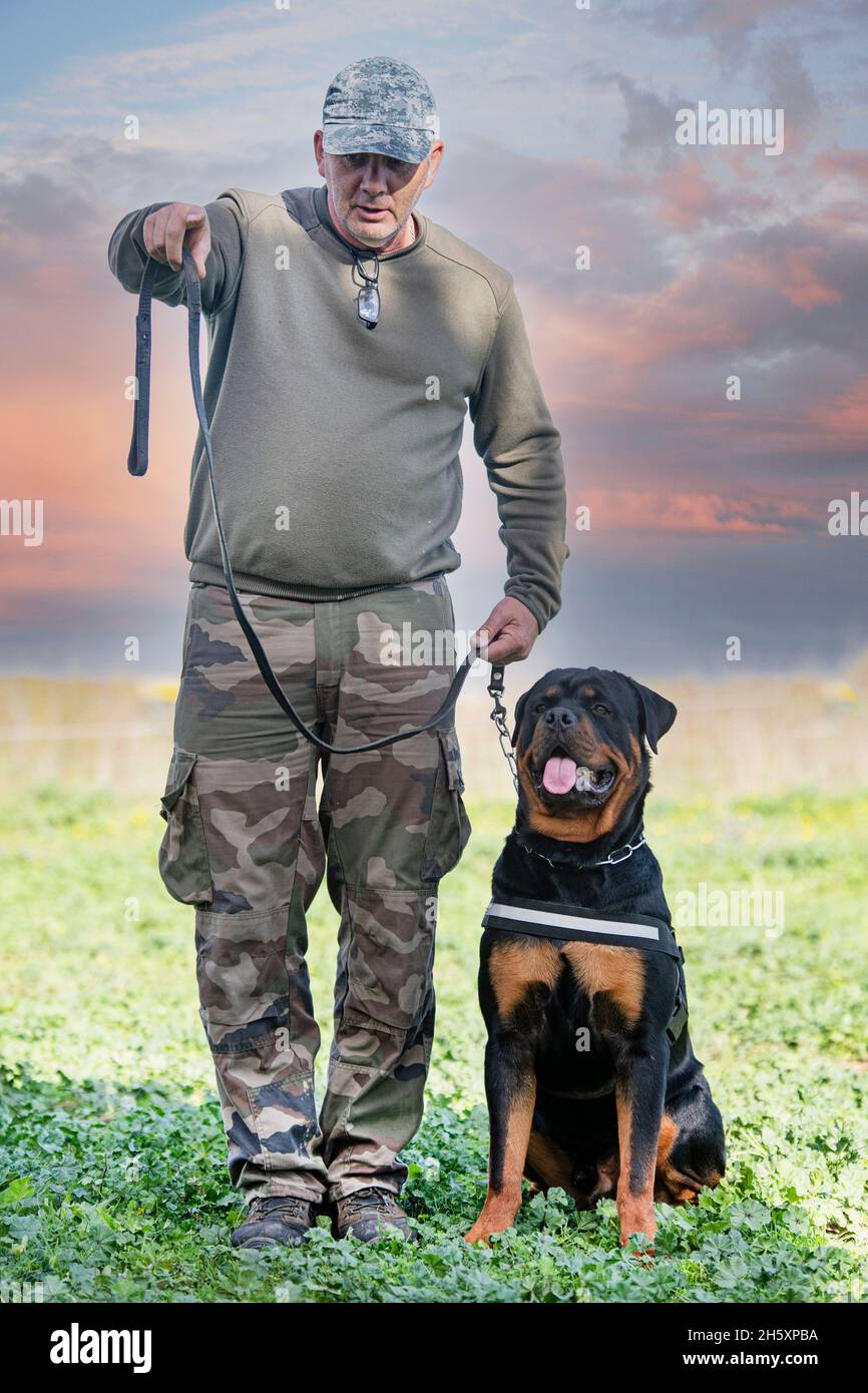 K9 dog harness hi-res stock photography and images - Alamy