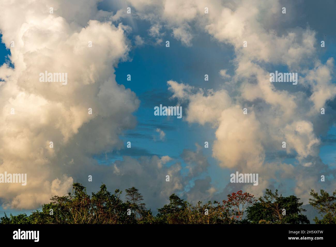 tropical storm in peruvian jungle Stock Photo