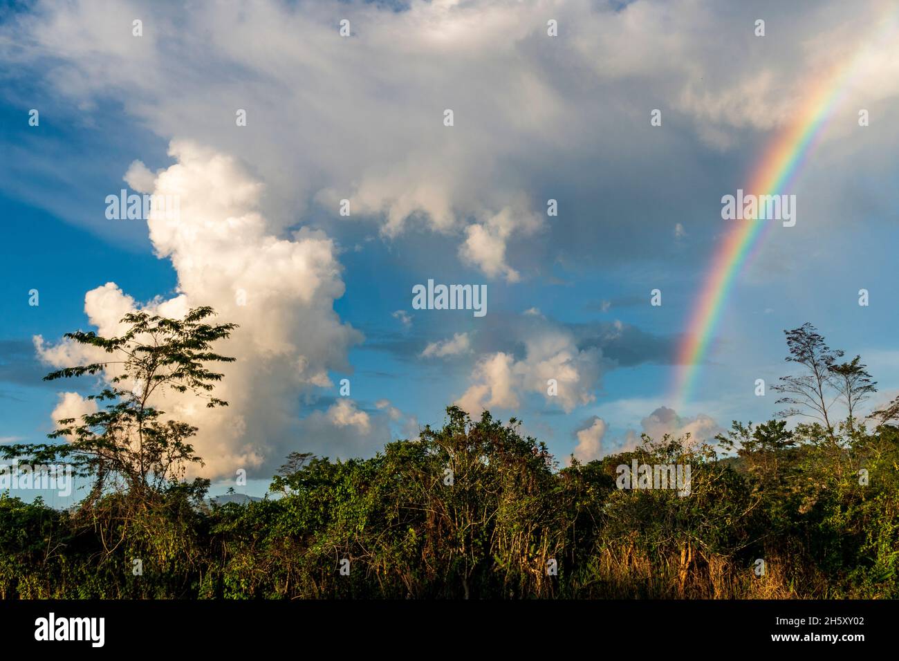 storm clouds and rainbow in the peruvian jungle Stock Photo