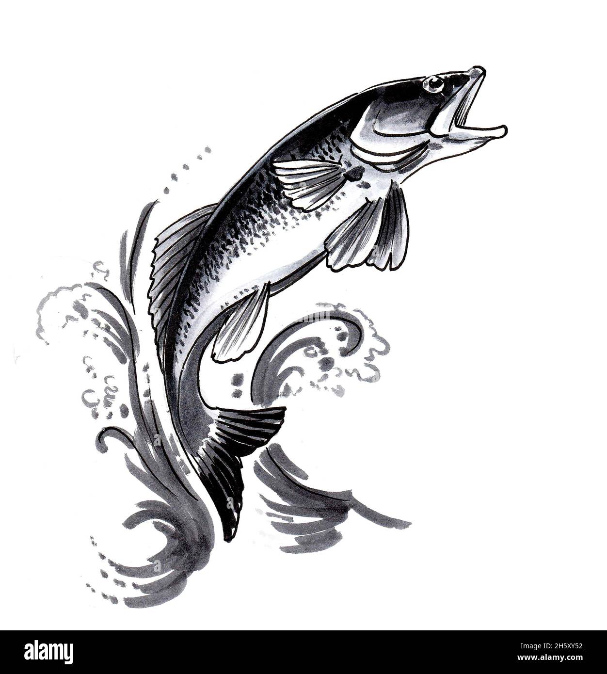 Jumping fish. Ink black and white drawing Stock Photo - Alamy