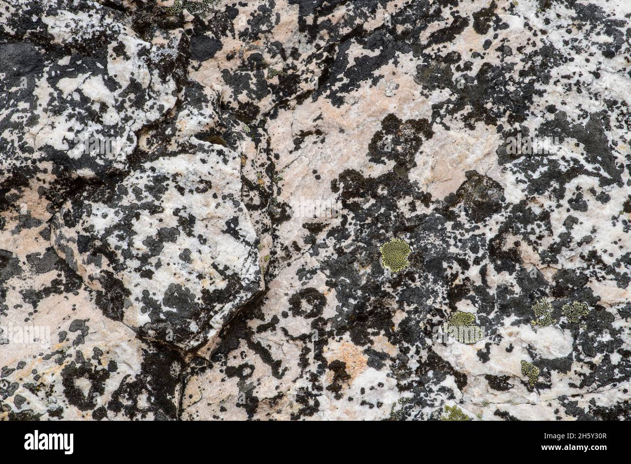 Lichen covered boulders in a rock slide, Jasper National Park, Alberta, Canada Stock Photo