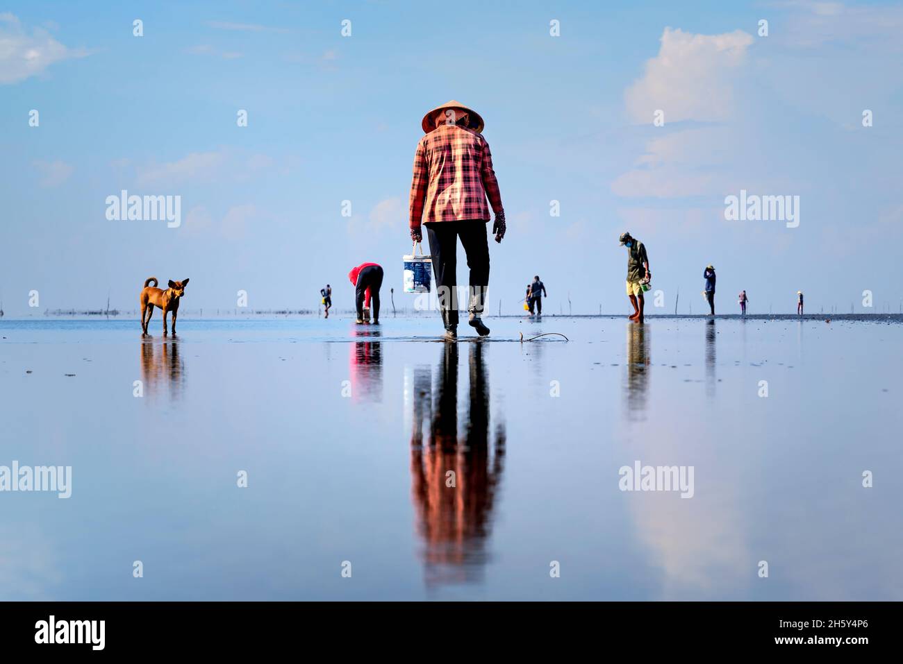 Can Gio District, Ho Chi Minh City, Vietnam - October 23, 2021: Fishermen harvest clams on the beach at low tide in Can Gio district, HCMC, Vietnam Stock Photo