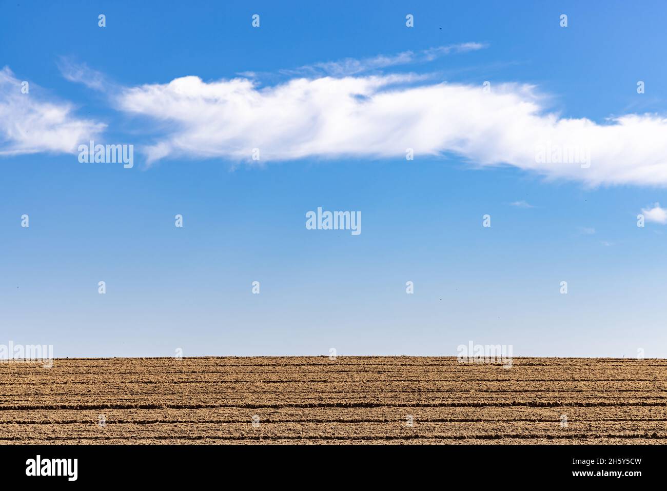 freshly plowed field with room for copy Stock Photo