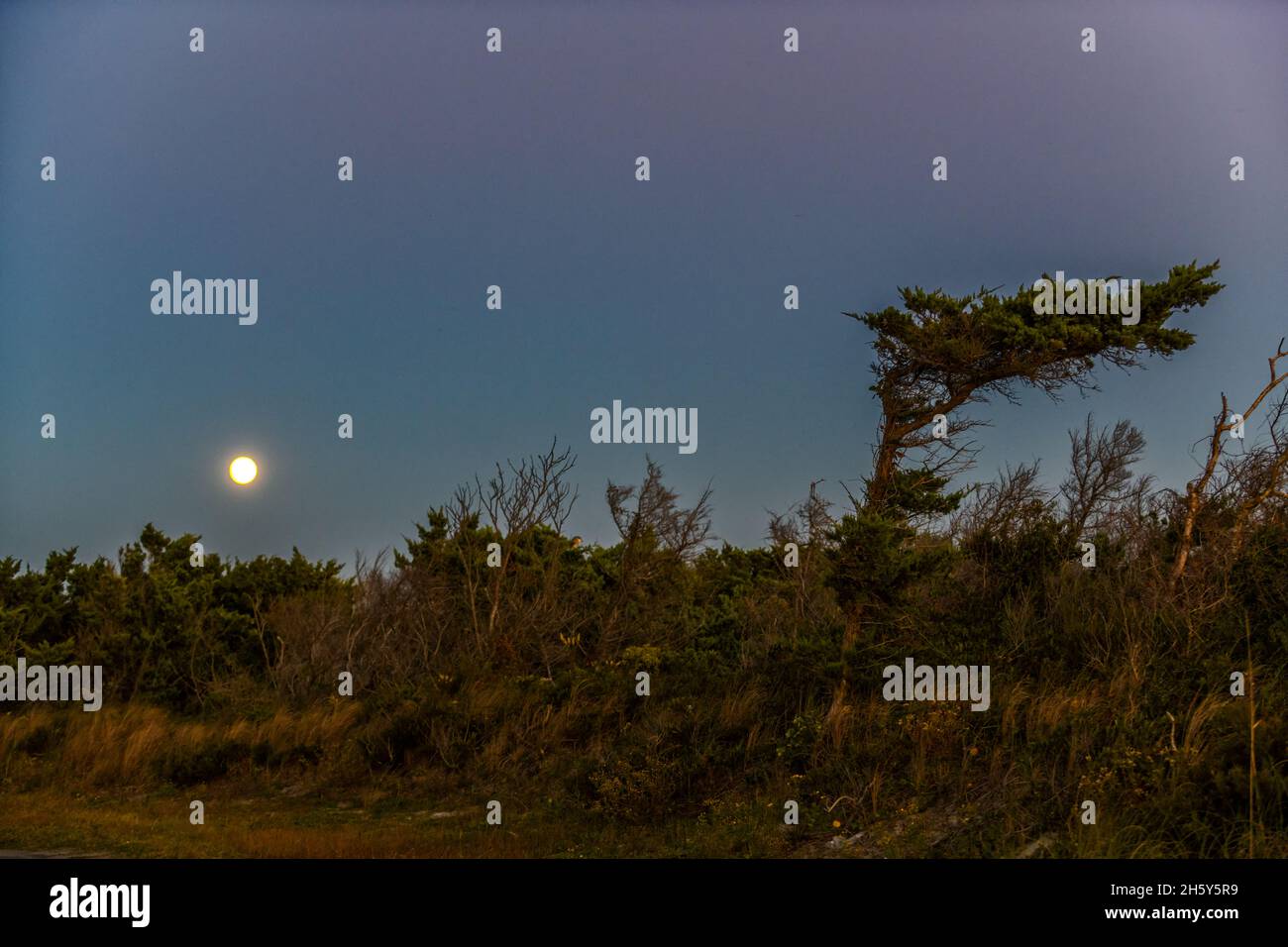 Moonrise on Ocracoke Island, North Carolina, Outer Banks Stock Photo