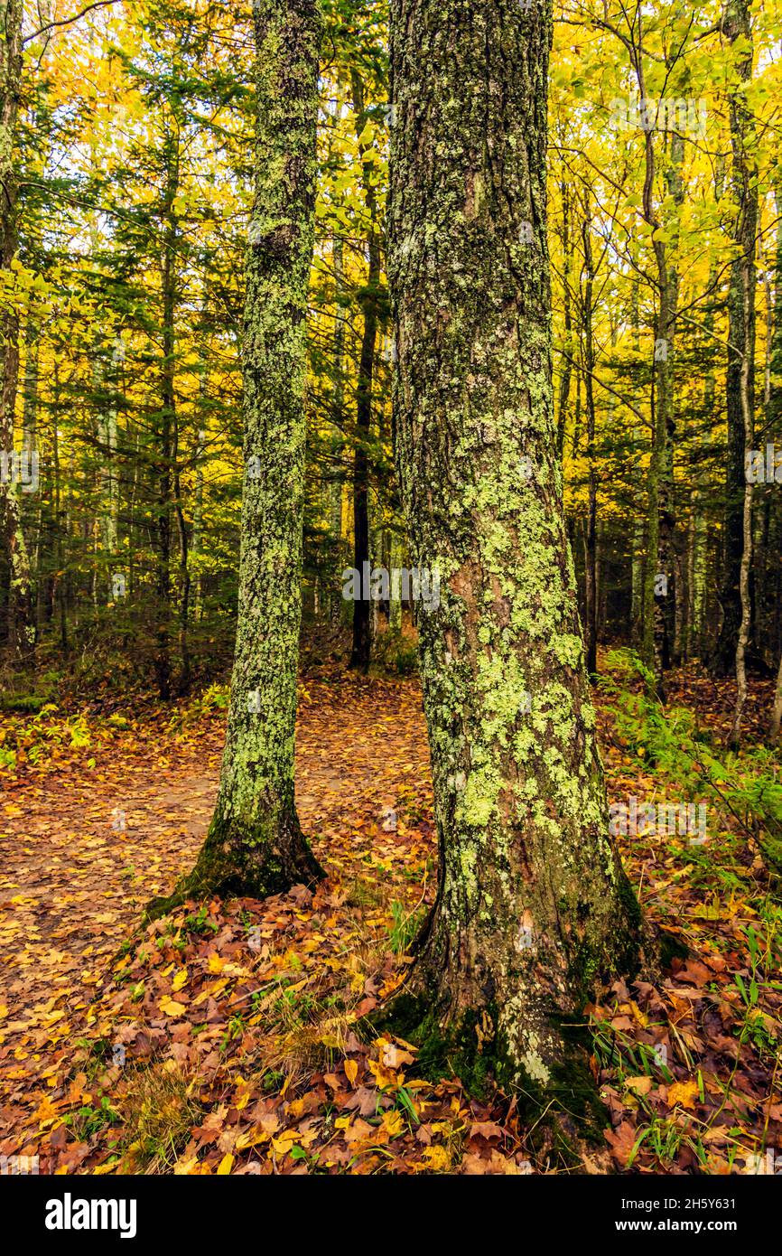 Upper Peninsula Michigan Trip Stock Photo Alamy