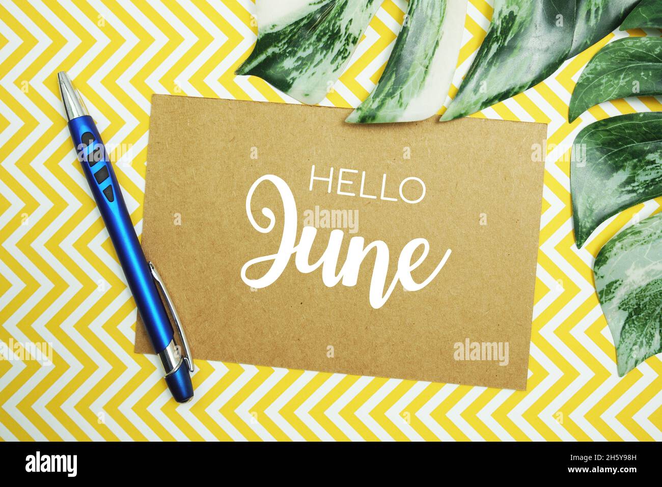 Hello June typography text on paper card with Monstera leaves Stock ...