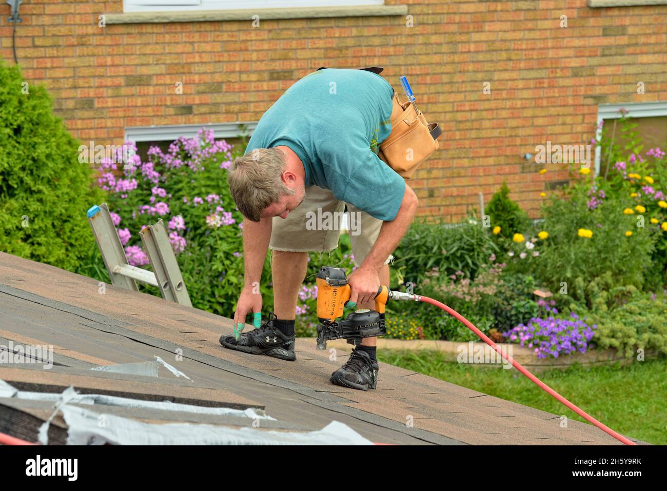 Installing shingles on a roof. Using an automatic shingle nailer, Greater Sudbury (Lively), Ontario, Canada Stock Photo