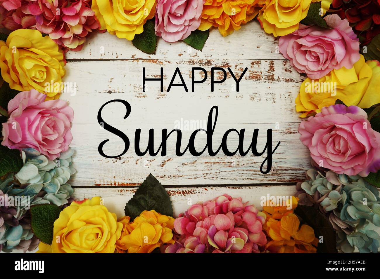 Happy Sunday text and Flowers Colorful Border Frame on wooden ...