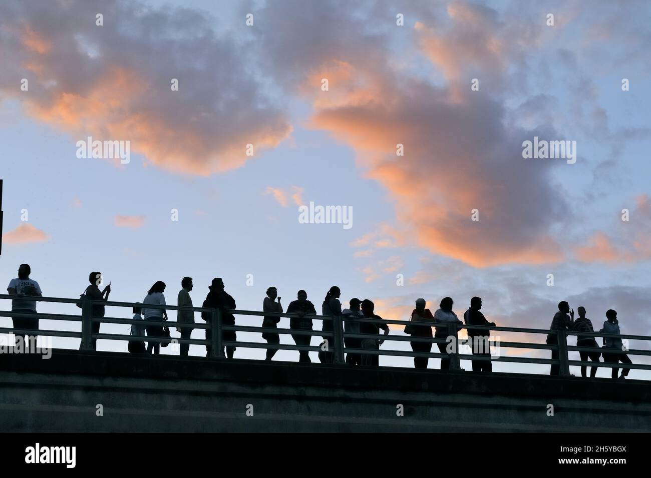 Spectators on the Ann W Richards Congress Ave Bridge viewing bats leaving for their nightly