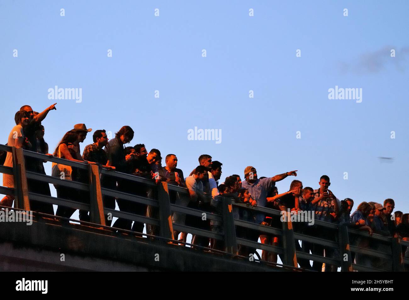 Spectators on the Ann W Richards Congress Ave Bridge viewing bats leaving for their nightly
