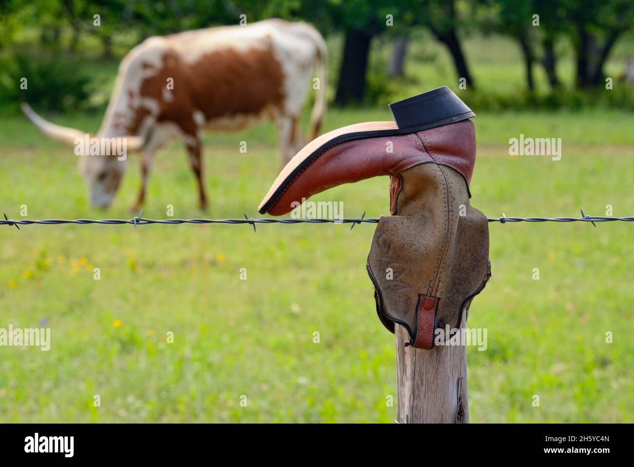 Cowboy boots on fenceposts, Willow City, Texas, USA Stock Photo