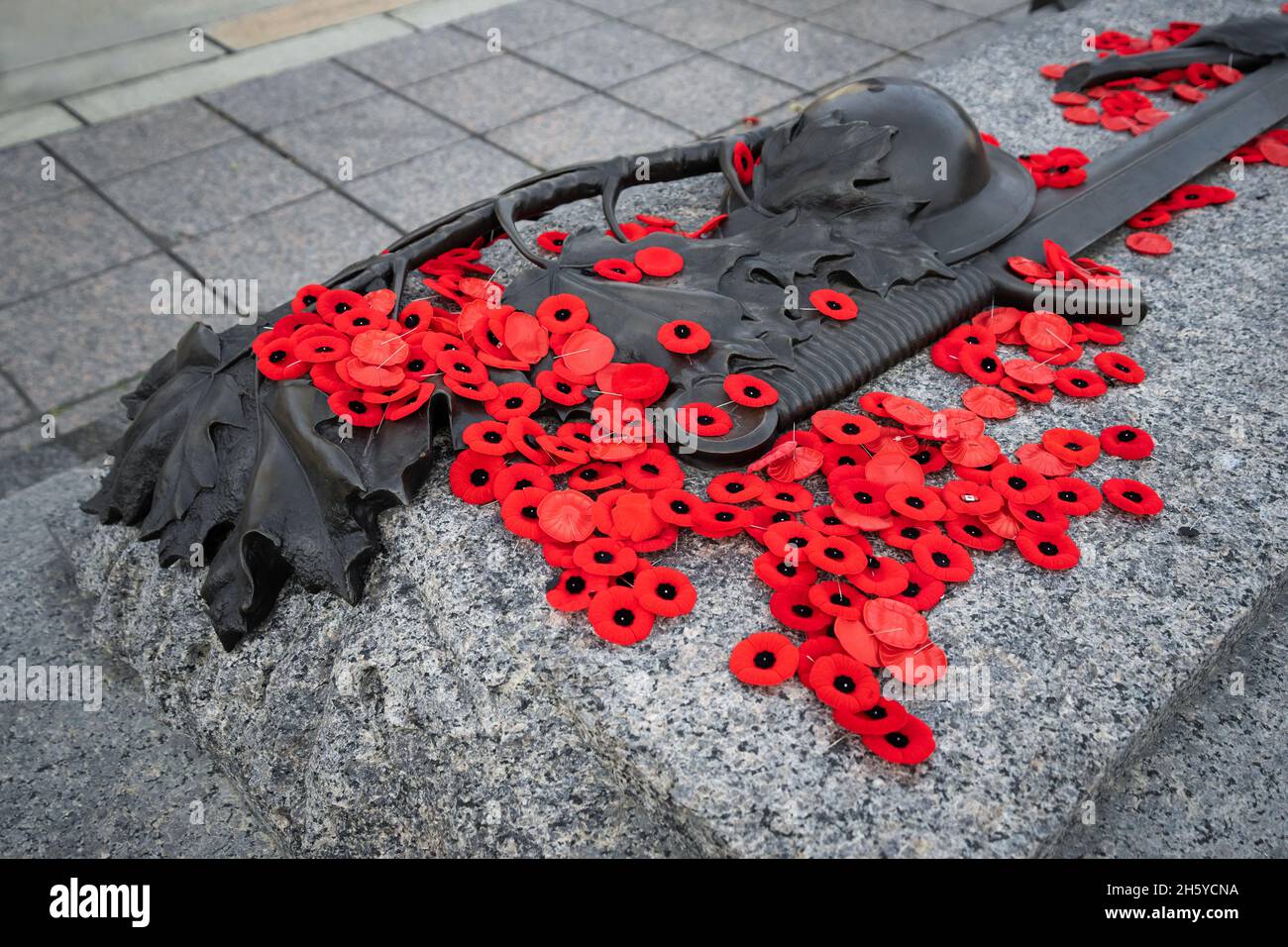Poppies placed on the Tomb of the Unknown Soldier following the Remembrance Day ceremony in Ottawa, Canada Stock Photo