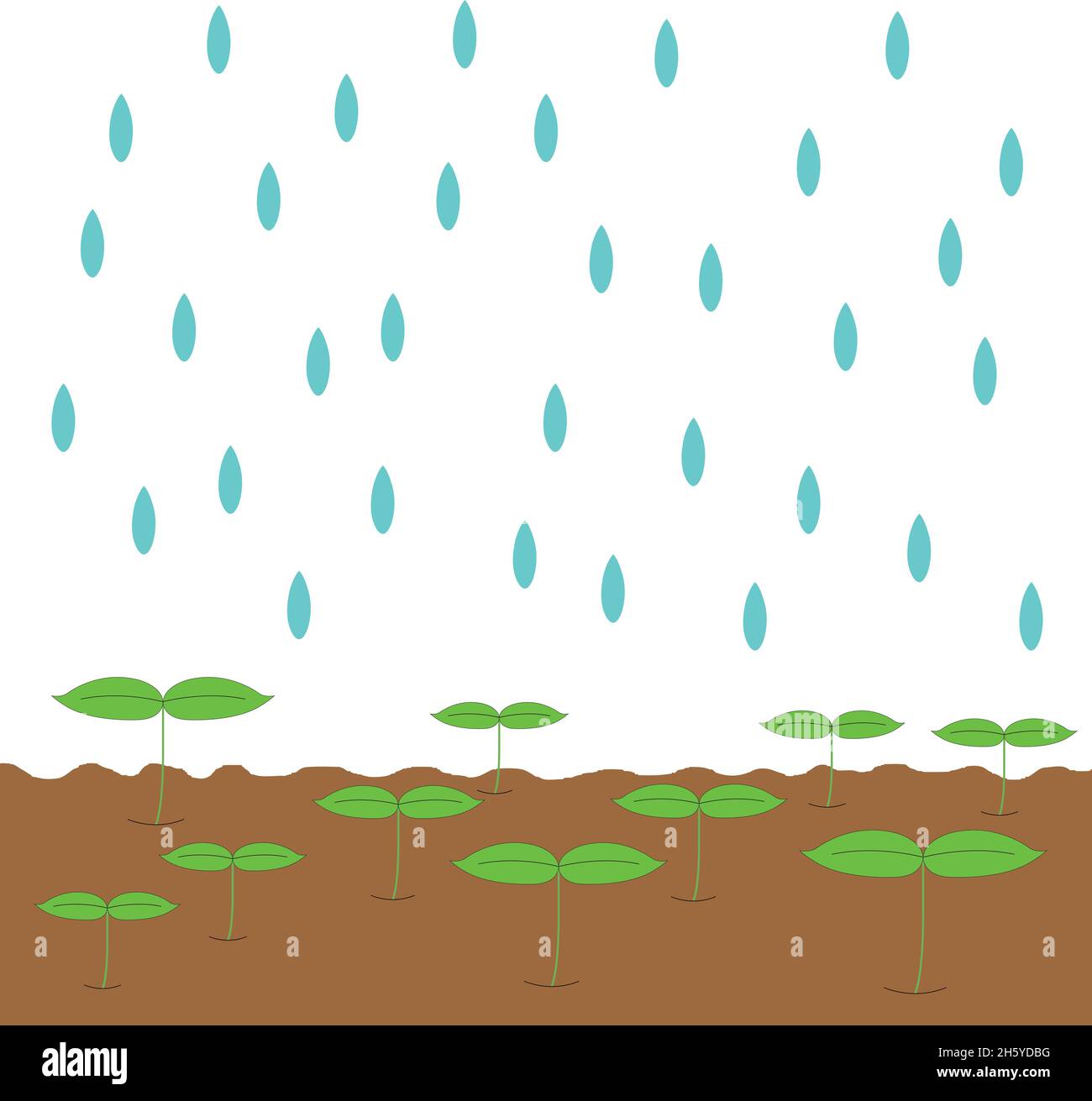 It is raining on the sprouts growing on the ground. Stock Vector