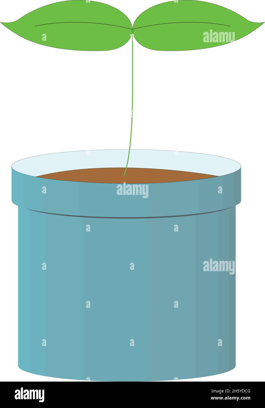 Small sprouts are growing in the flowerpot. If you take good care of it, you will bear good fruit. Stock Vector