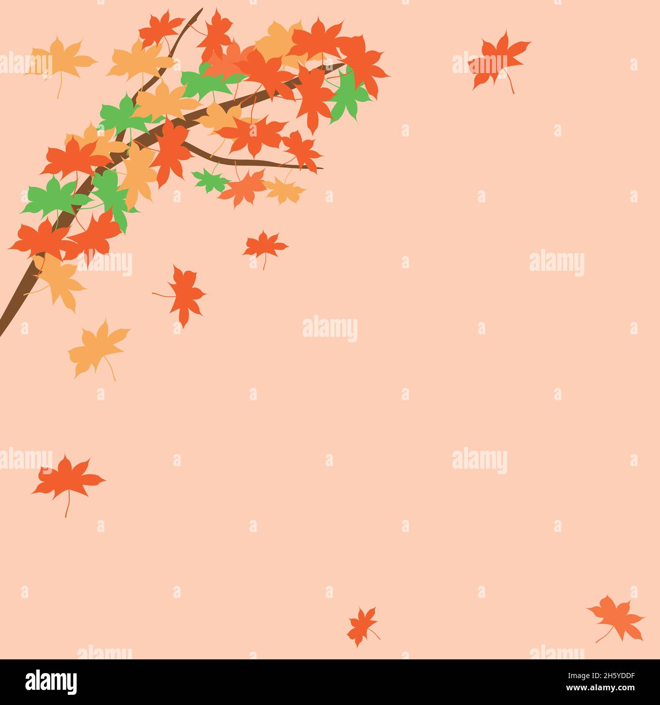 The background of maple leaves where you can feel that autumn has come. Stock Vector