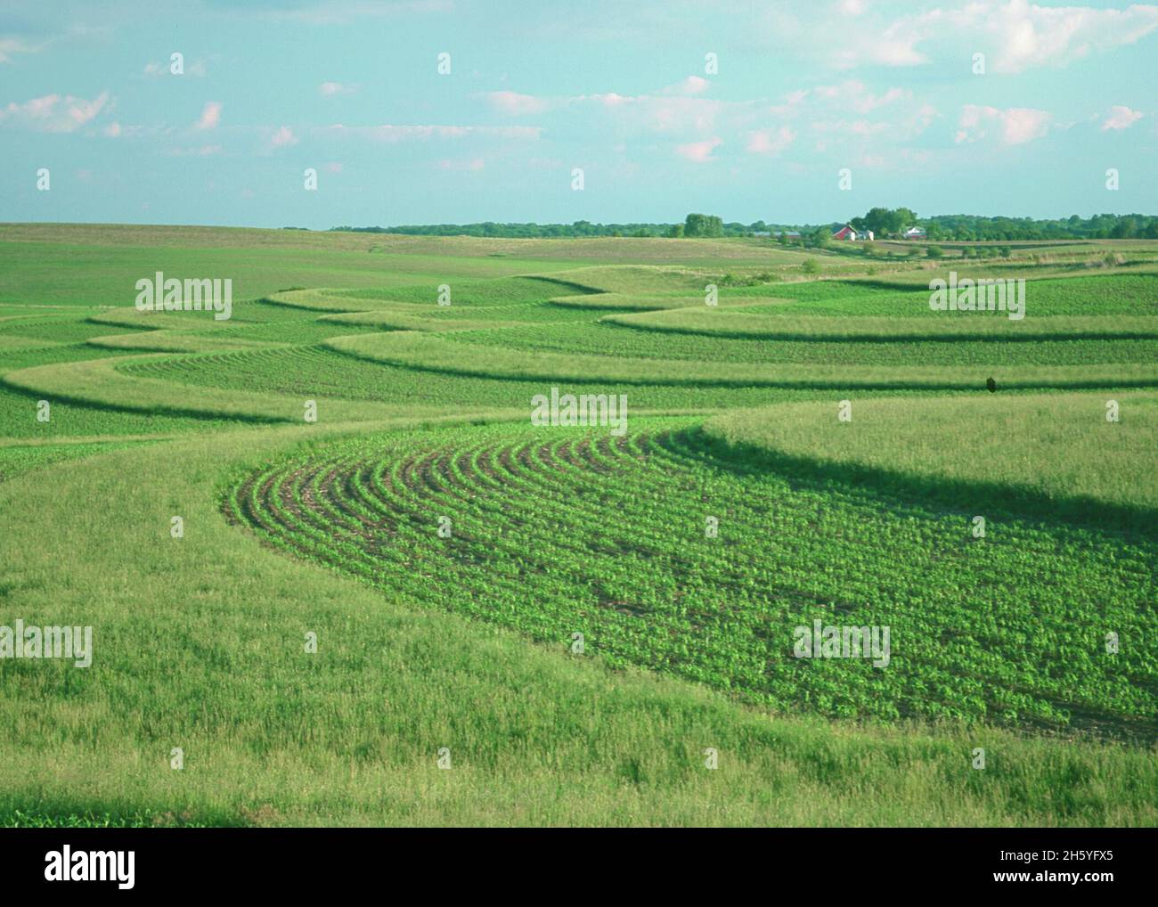 Grassed contour buffer strips hires stock photography and images Alamy