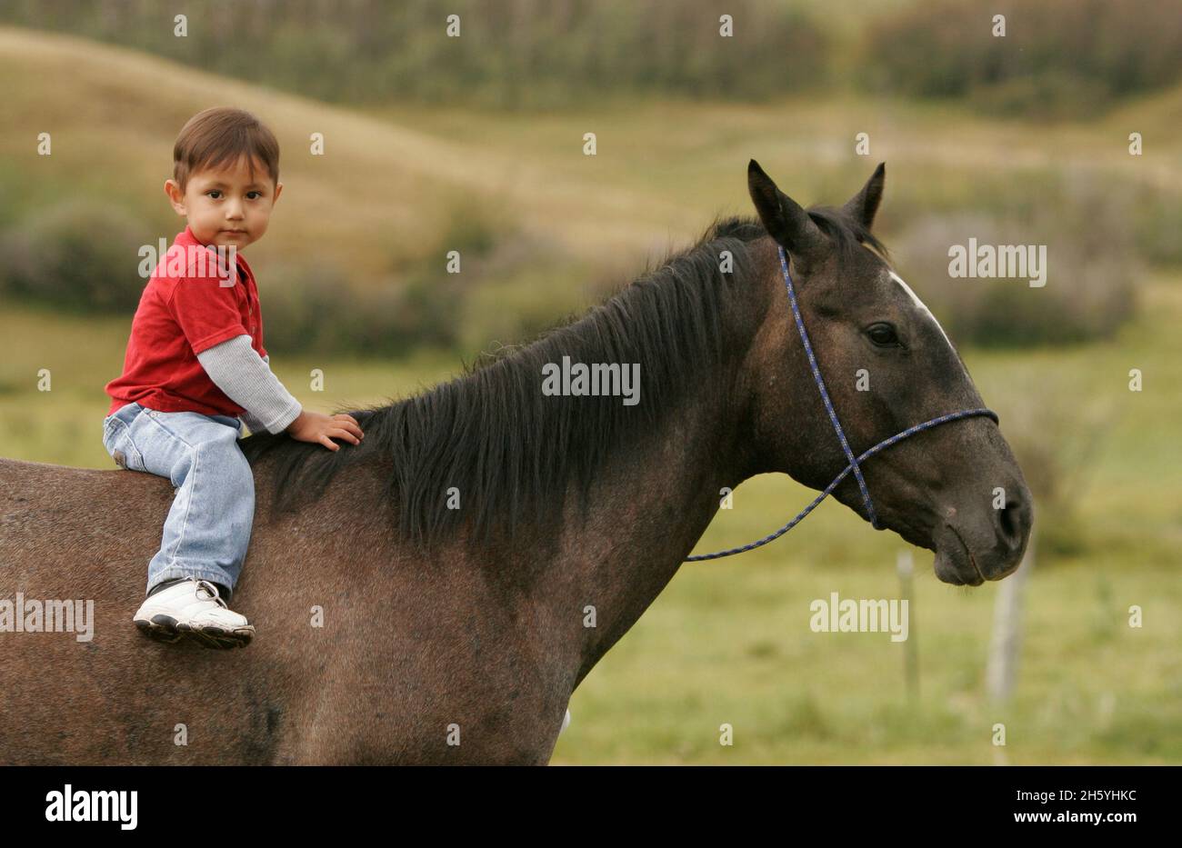 Two year old Native American boy, sits on the back of a horse on his grandfathers ranch; August 18, 2005 Stock Photo