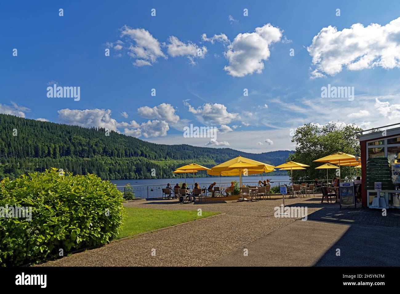 Europa, Deutschland, Baden-Württemberg, Titisee-Neustadt, Seestraße, Seeterrassen, Titisee, Sehenswürdigkeit, Tourismus, Bäume, Pflanzen, Gebäude, Gas Stock Photo