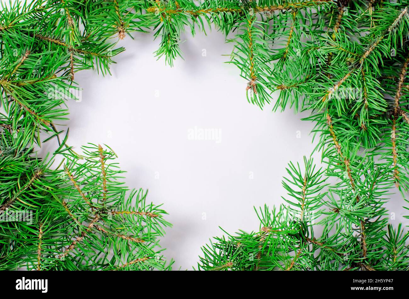 Top view of christmas frame made of Fluffy fir branches on white ...
