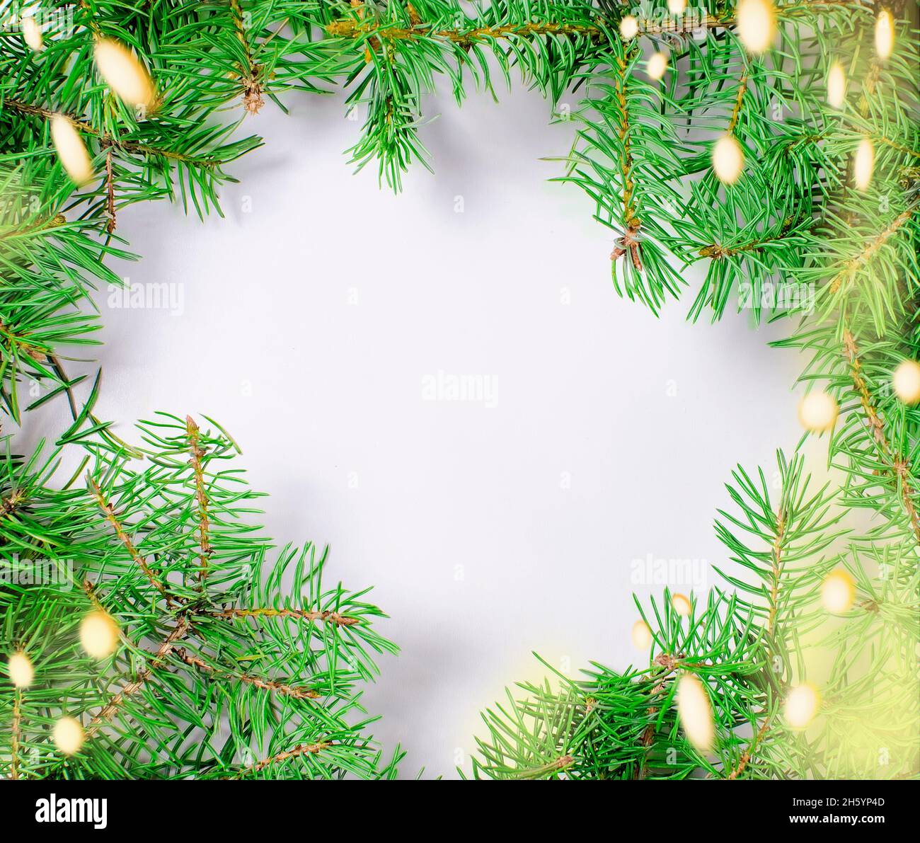 Top view of christmas frame made of Fluffy fir branches on white ...