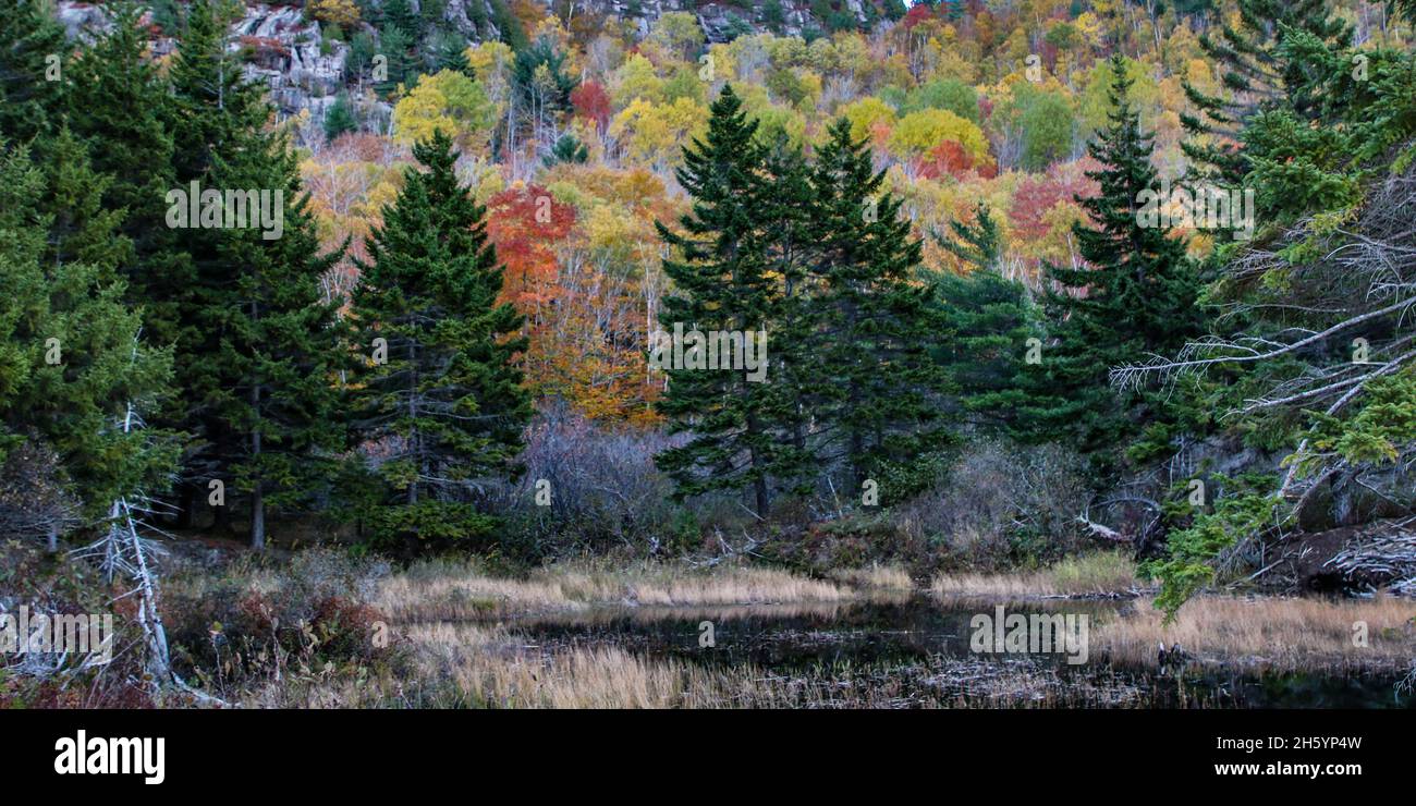 Eco Park Jordan High Resolution Stock Photography And Images Alamy