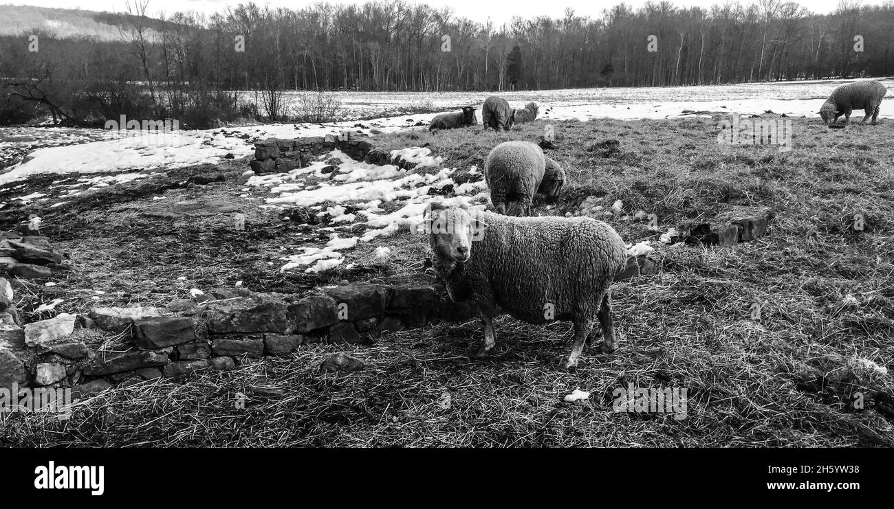 Hopewell Furnace National Historic Site in Pennsylvania Stock Photo Alamy