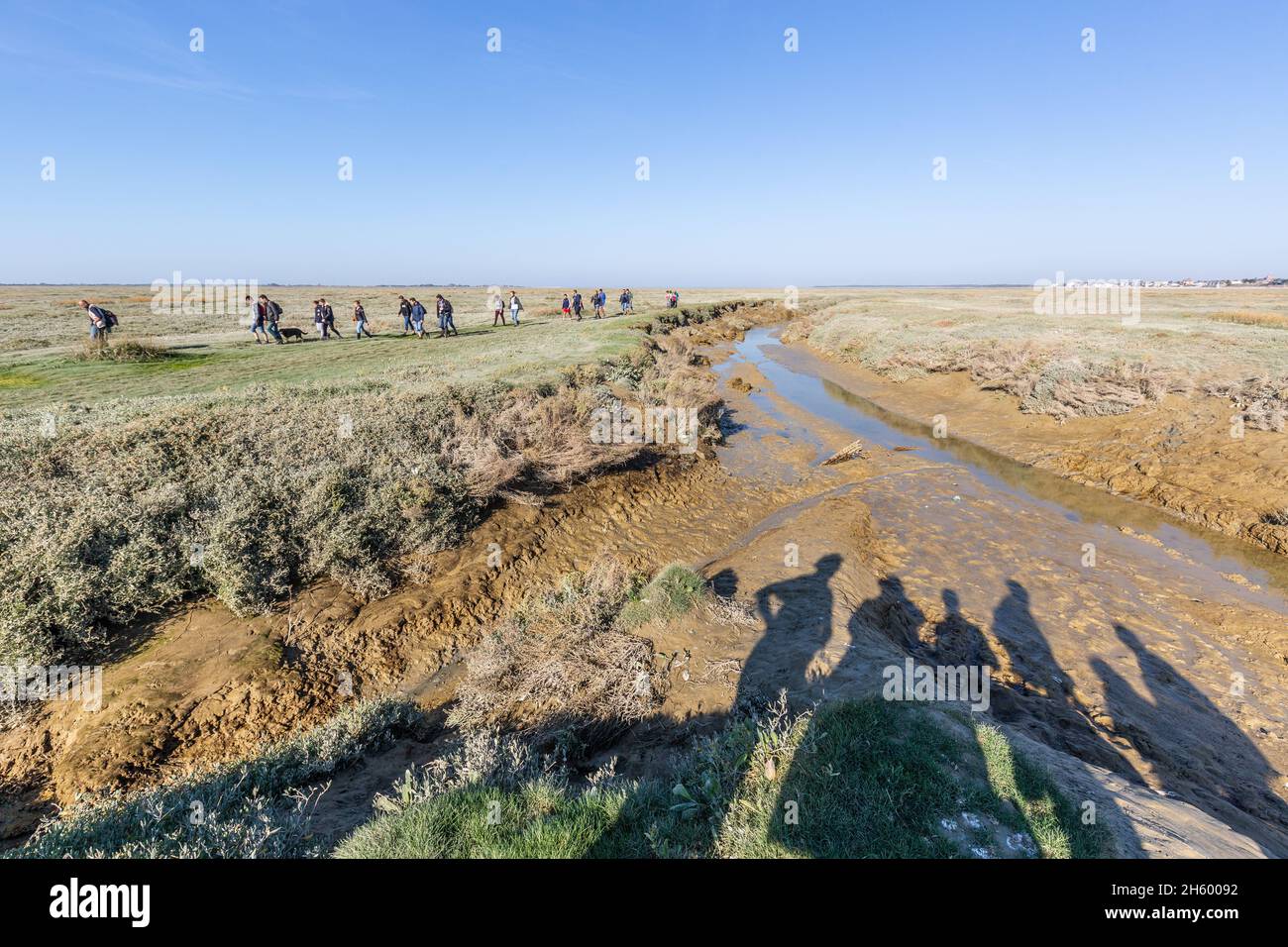 Group of hikers crossing the Baie de Somme at low tide. Saint-Valery, France Stock Photo