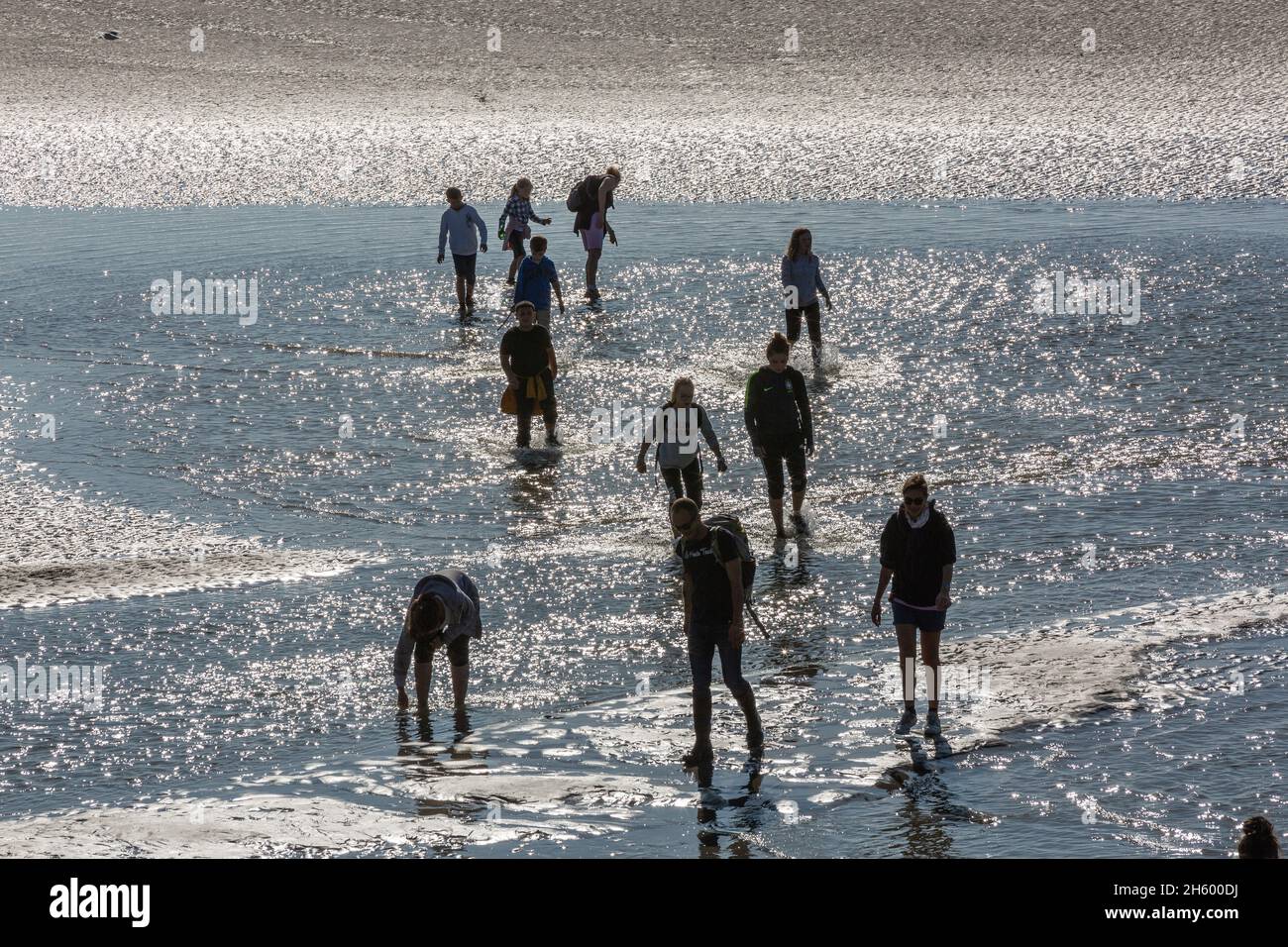 Group of hikers crossing the Baie de Somme at low tide. Le Crotoy, France Stock Photo