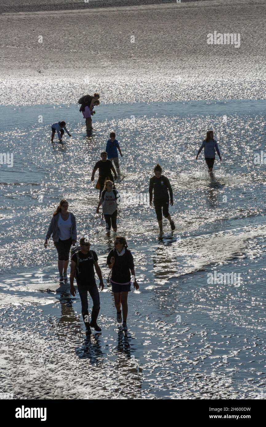 Group of hikers crossing the Baie de Somme at low tide. Le Crotoy, France Stock Photo