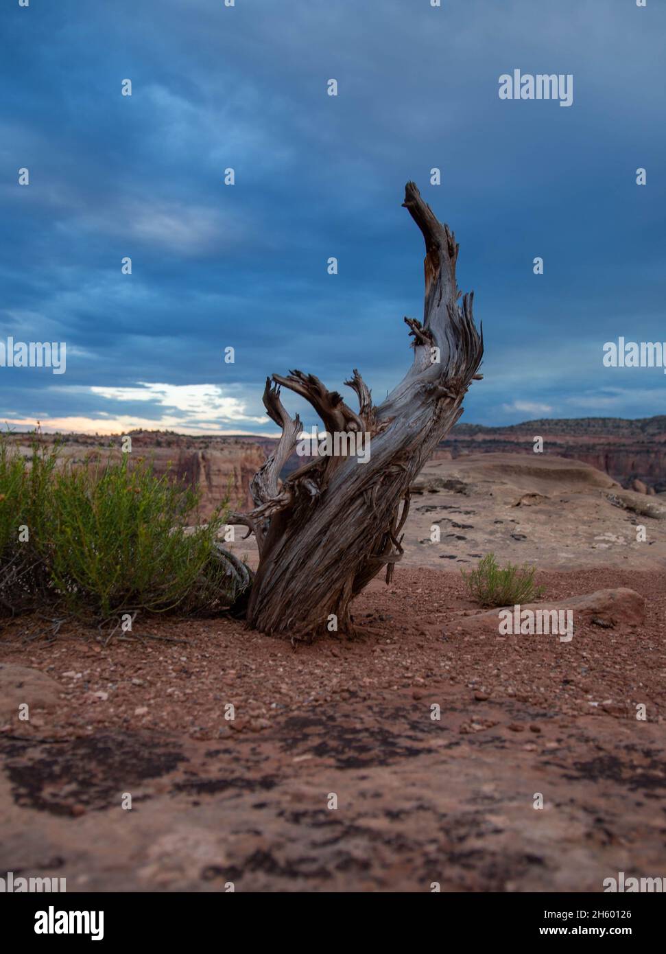 Colorado National Monument Stock Photo