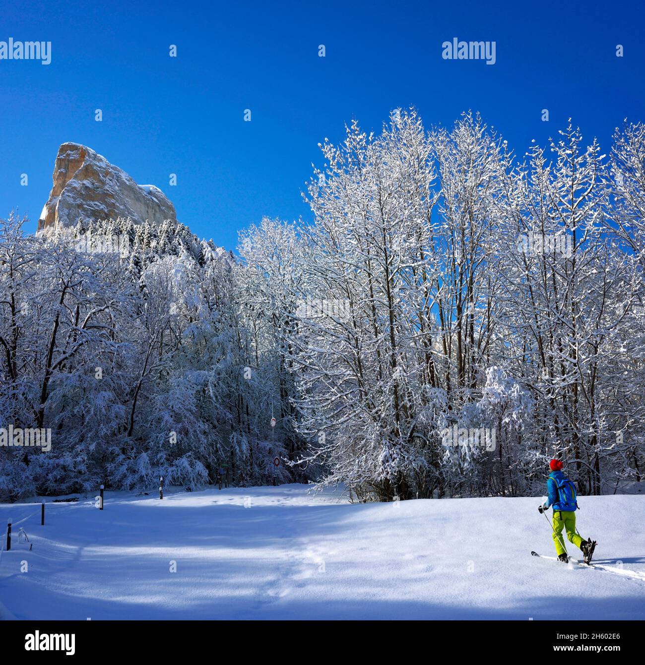 FRANCE, ISERE ( 38 ), SAINT MICHEL LES PORTES , TOURING SKI NEAR THE MONT AIGUILLE IN  THE NATURAL PARK OF VERCORS Stock Photo