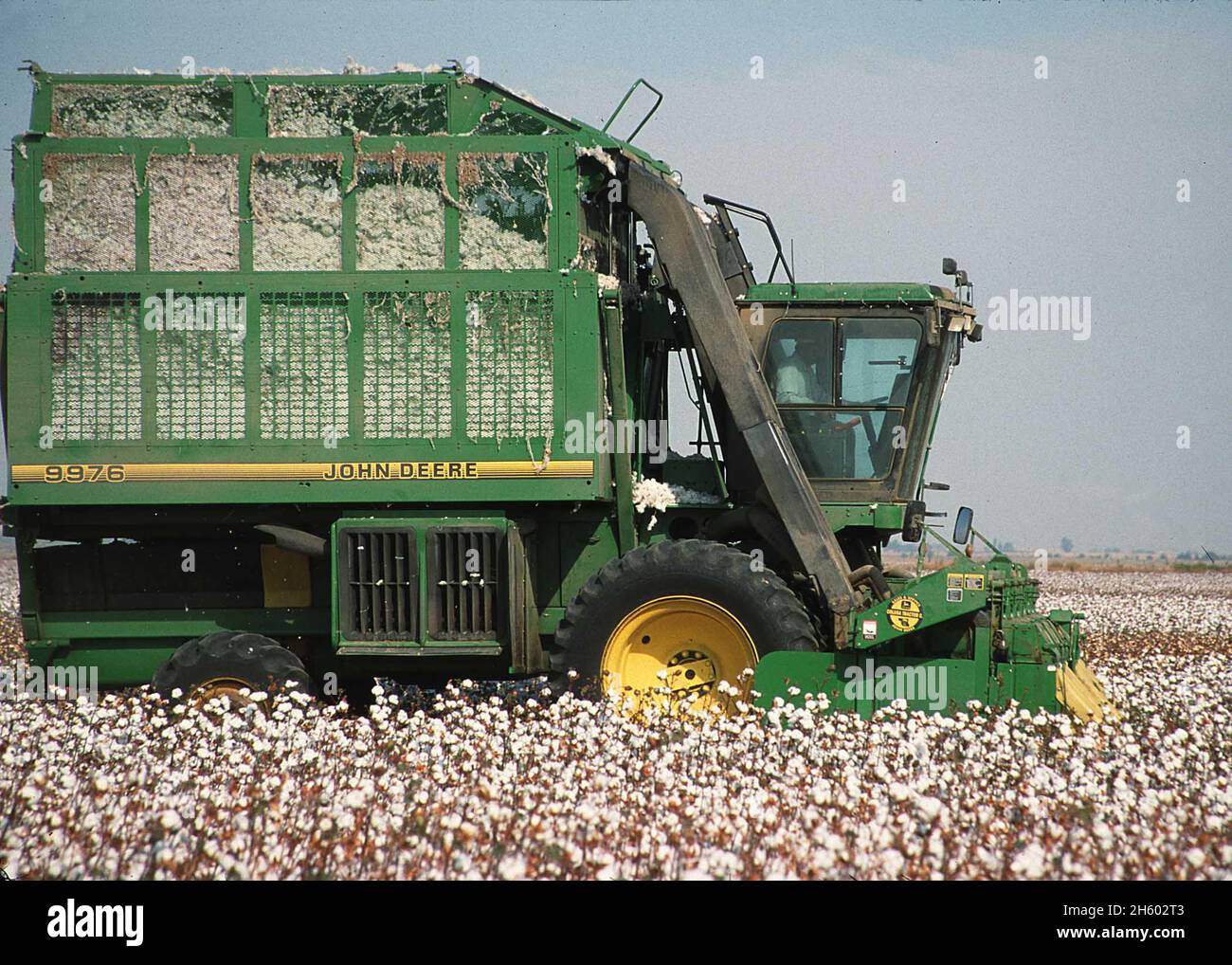 Farmer harvesting cotton in a John Deere 9976 cotton picker harvester