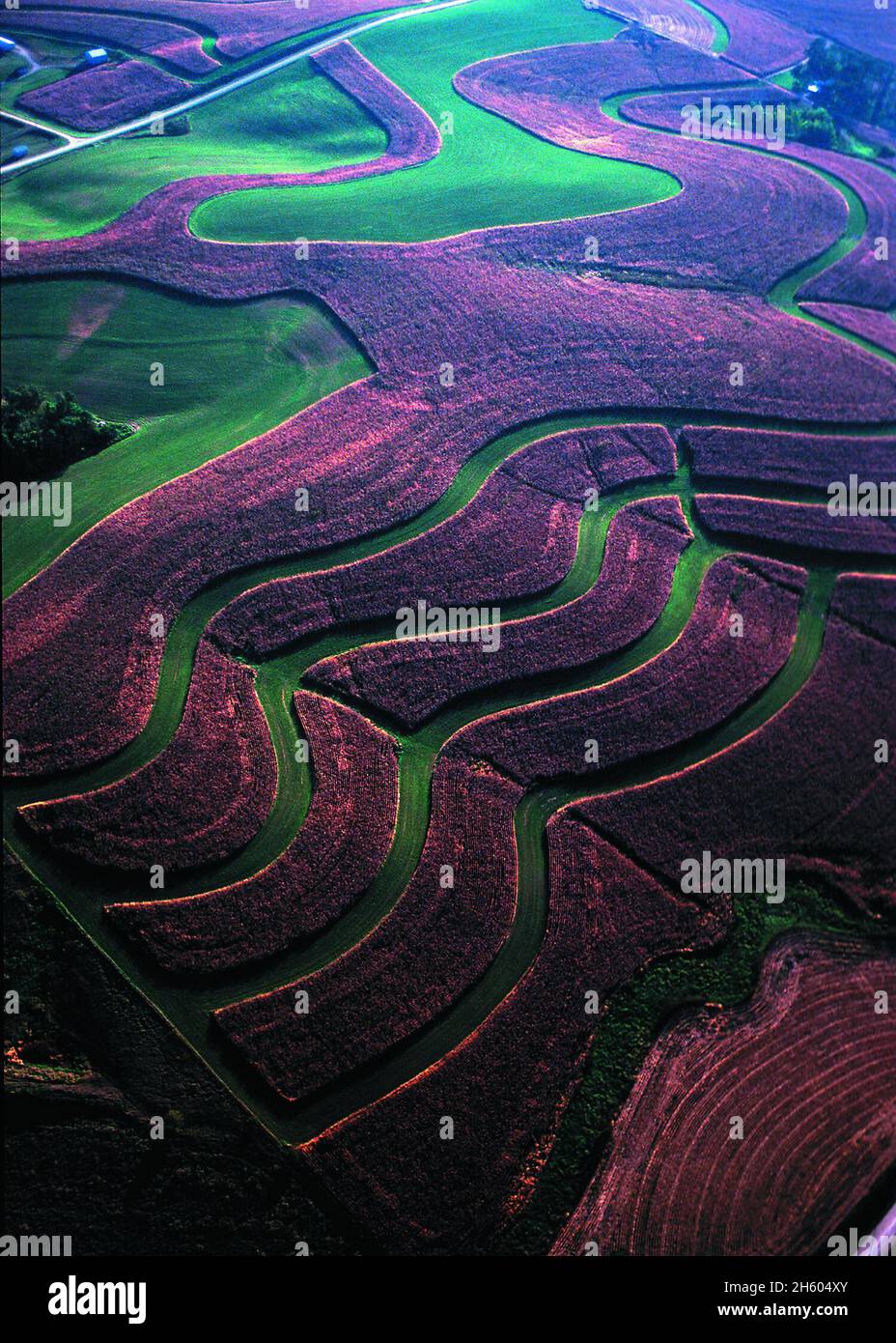 Contour buffer strips hires stock photography and images Alamy