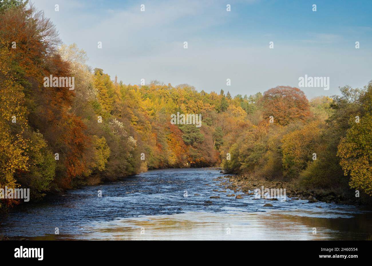 River South Tyne at Featherstone, Northumberland, UK Stock Photo Alamy