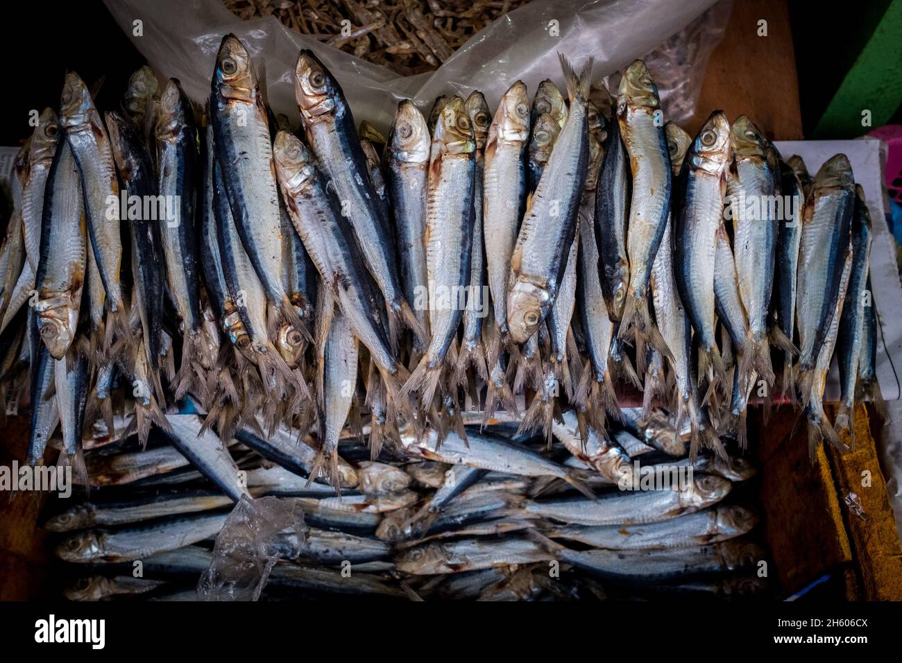 July 2017. Local markets provide for wants and needs. Being able to purchase rice, fish, and other goods is a primary driver of the need for cash and desire to be involved in enterprise projects. Puerto Princesa, Palawan, Philippines. Stock Photo