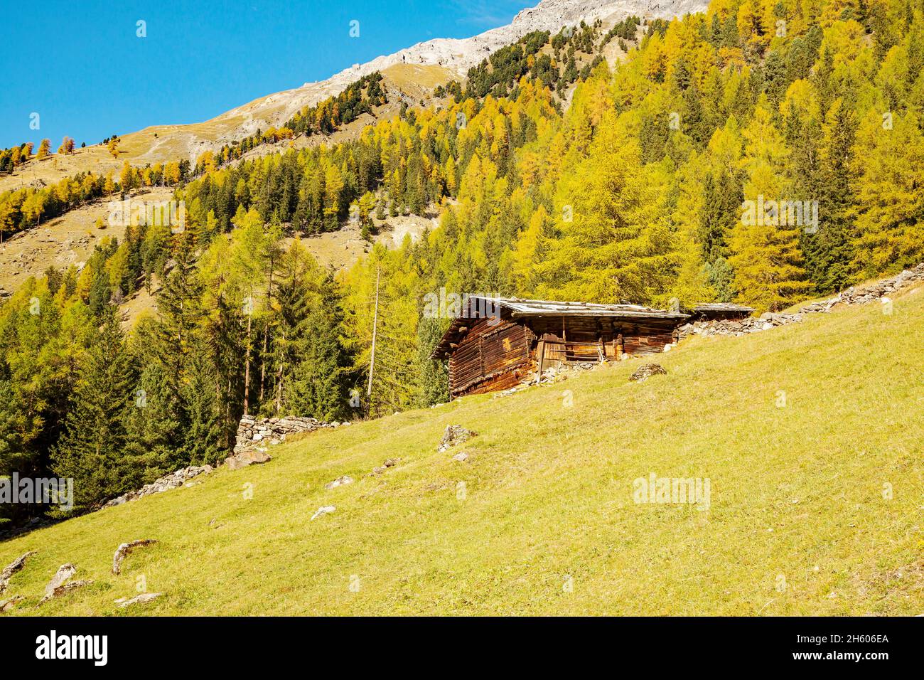 Bormio (IT), Autumn view of Val Zebrù Stock Photo