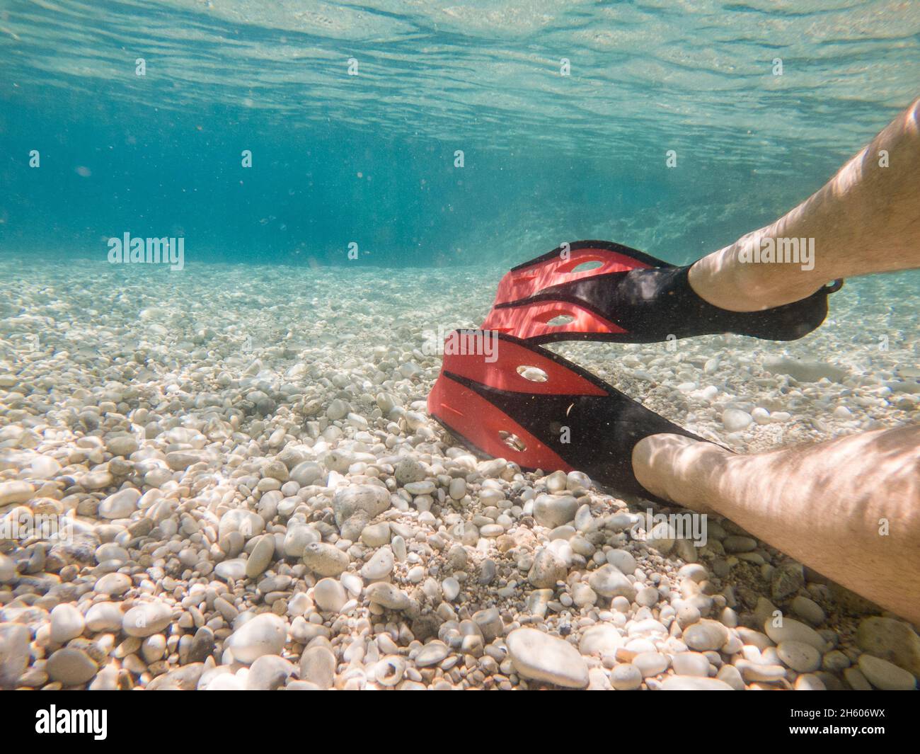 man legs in flippers underwater copy space summer vacation Stock Photo ...