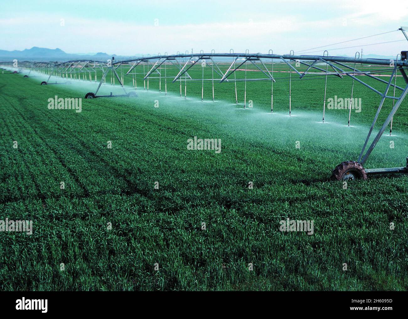 Center pivot irrigation on wheat growing in Yuma County, Colorado ca