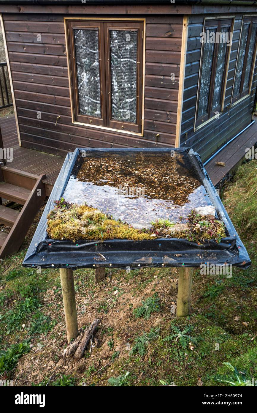Bird Bath; and Shed; UK Stock Photo