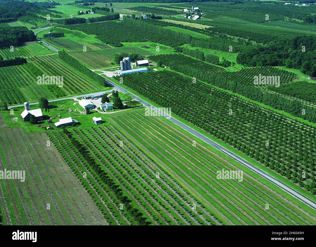 Aerial view of orchards and vineyards.  Grand Traverse County, Michigan ca. 2011 or earlier Stock Photo
