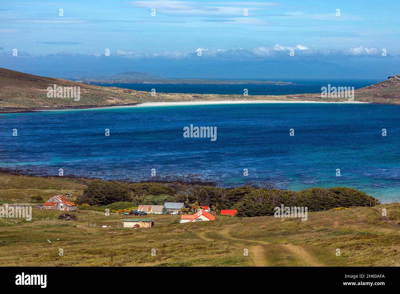 Carcass Island; Settlement; Falklands Stock Photo