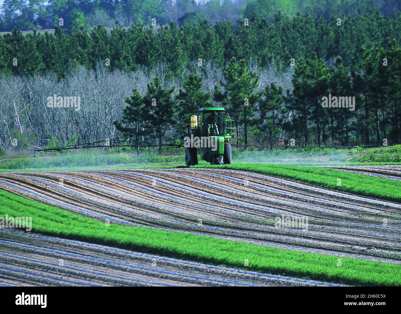 Farmer spraying pesticide as part of pest management plan. Georgia ca. 2011 or earlier Stock Photo