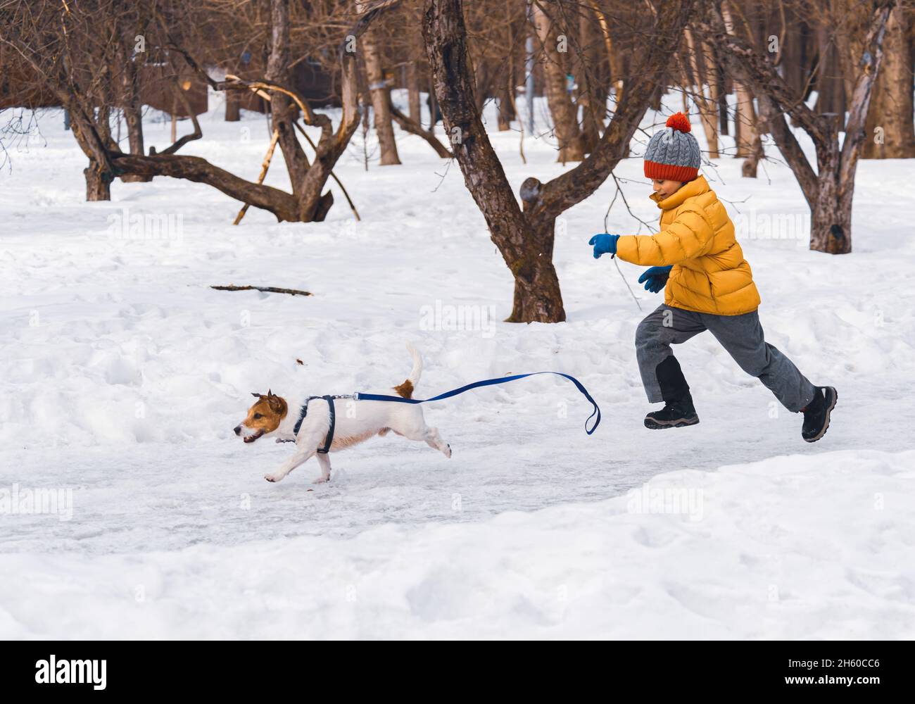 Dog escaped from leash and runs away from pet owner. Kid chasing dog lost in park Stock Photo