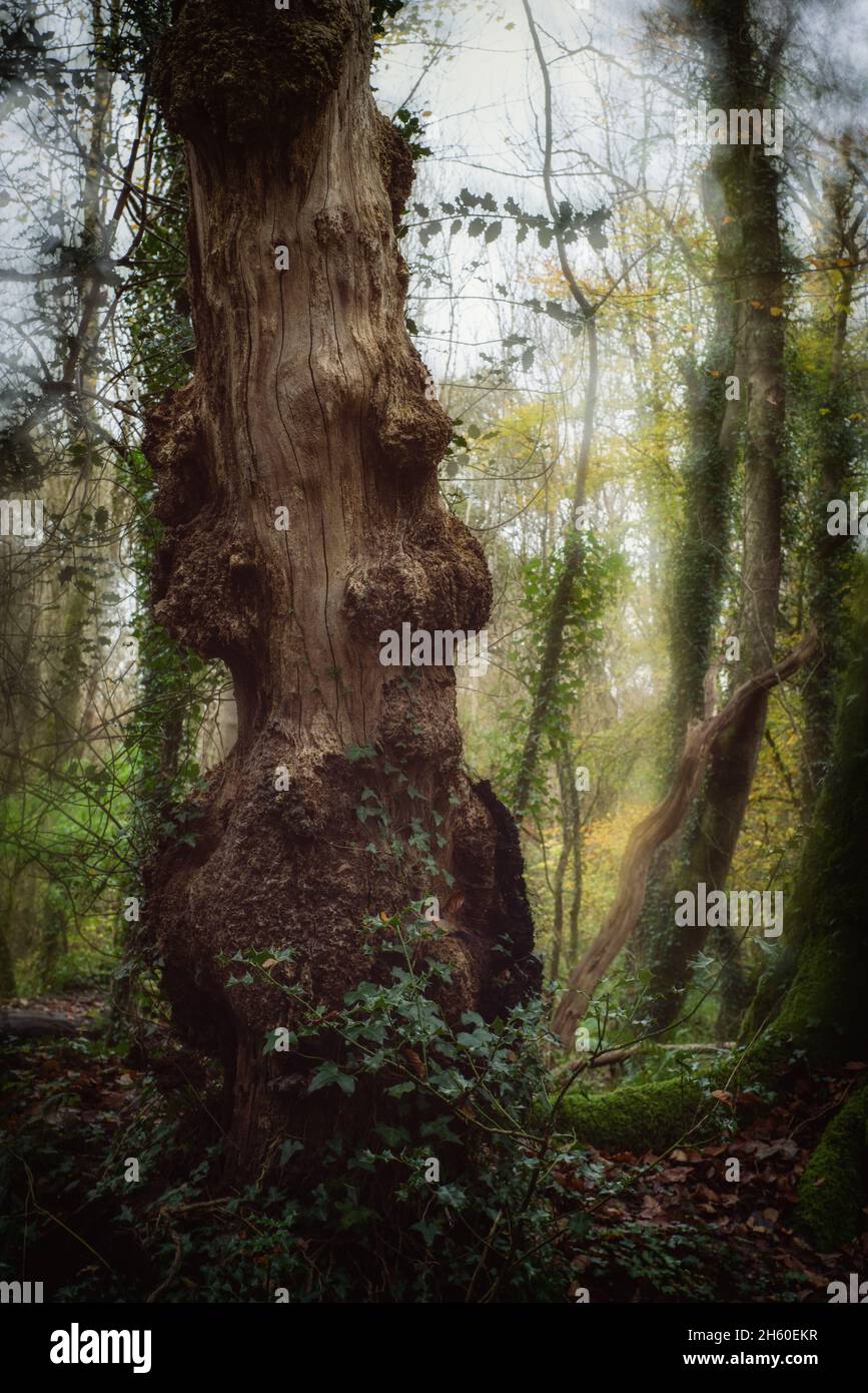 Respryn hi-res stock photography and images - Alamy