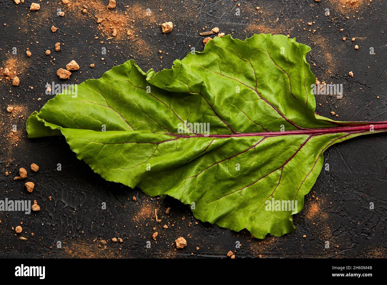 Close up of a beetroot leaf. Stock Photo