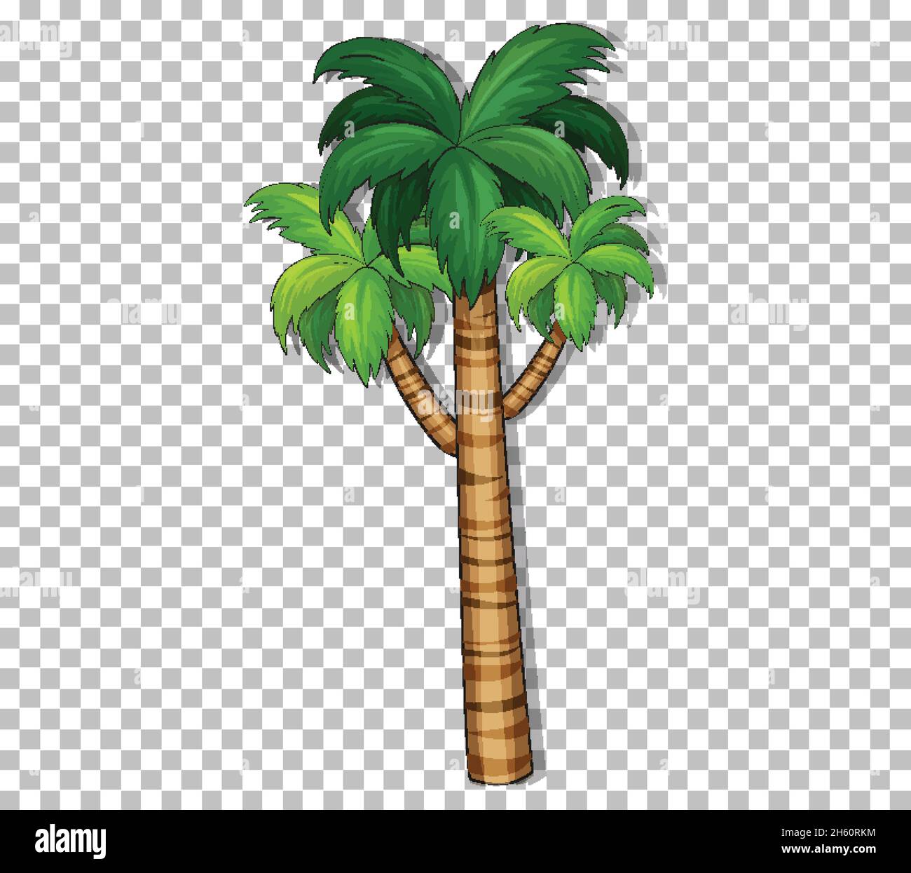 Palm tree on transparent background illustration Stock Vector Image ...