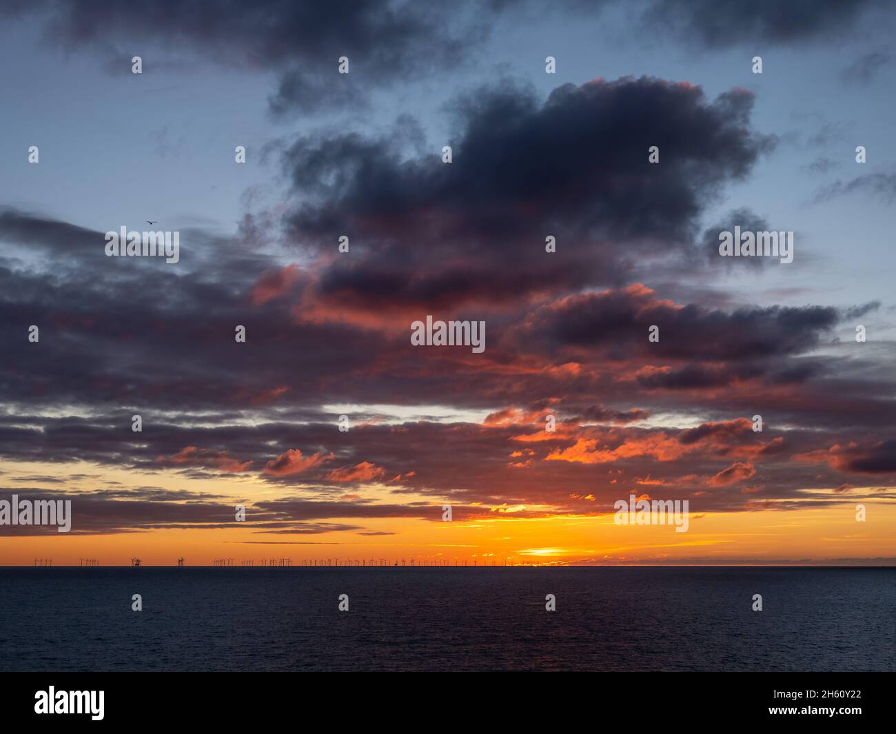 Sunset sky over English Channel from Peacehaven in East Sussex, England, with clouds and Gull. Stock Photo