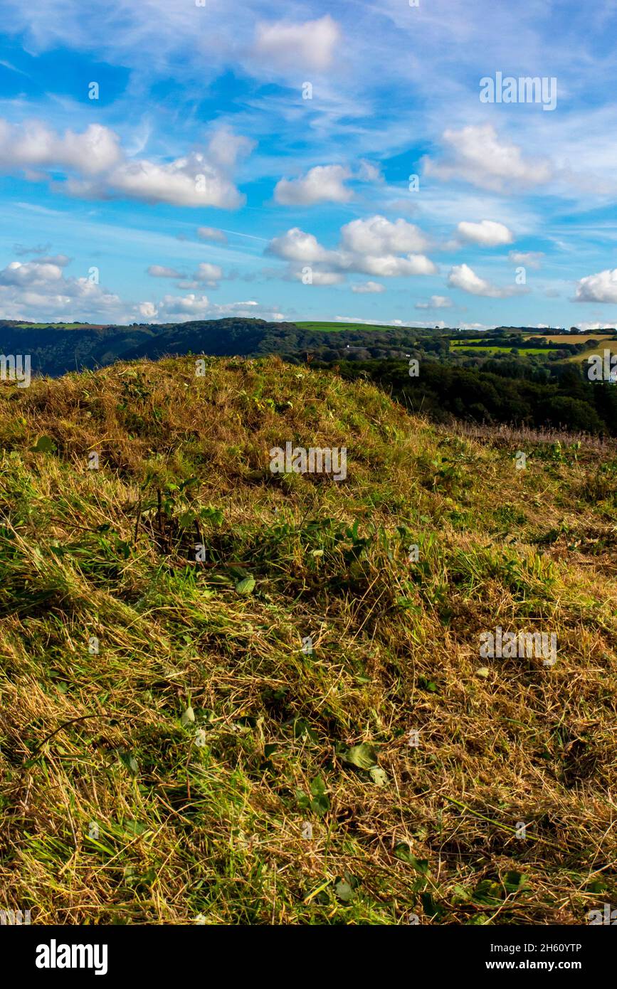 Bronze age bowl barrow or burial mound at Gallantry Bower on the South West Coast Path near Clovelly in North Devon England UK. Stock Photo